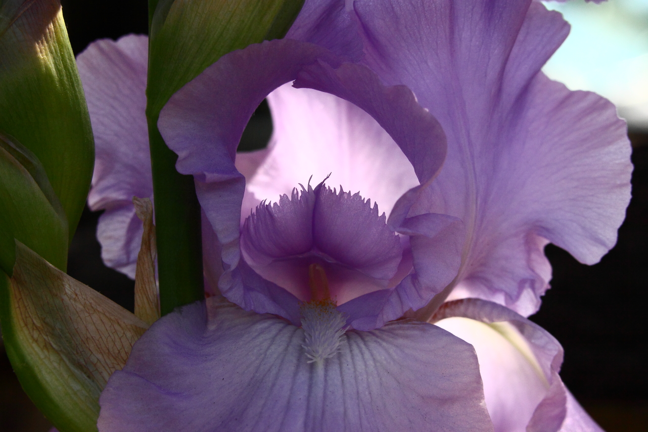 2015 05 29 HTP 000060555e